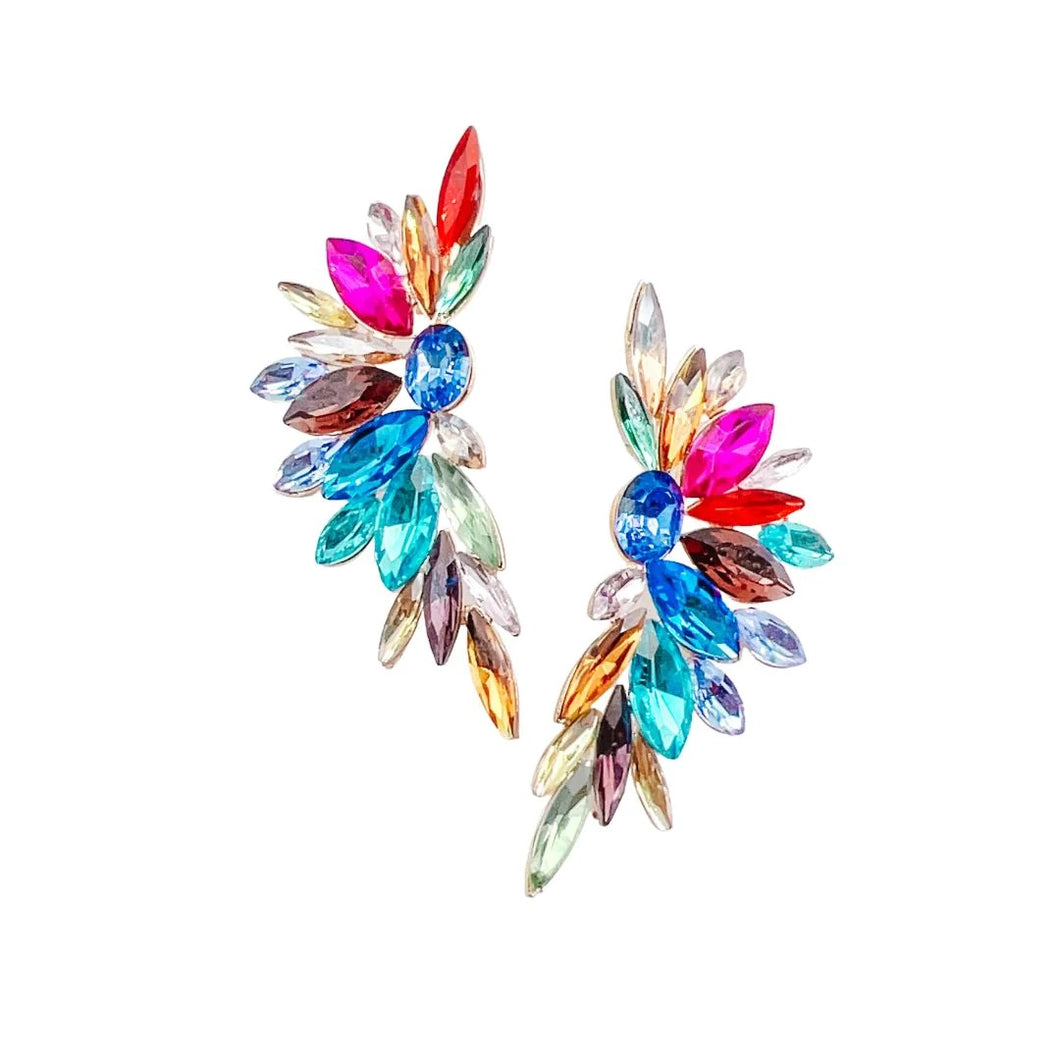 Multicolored Glam Earrings
